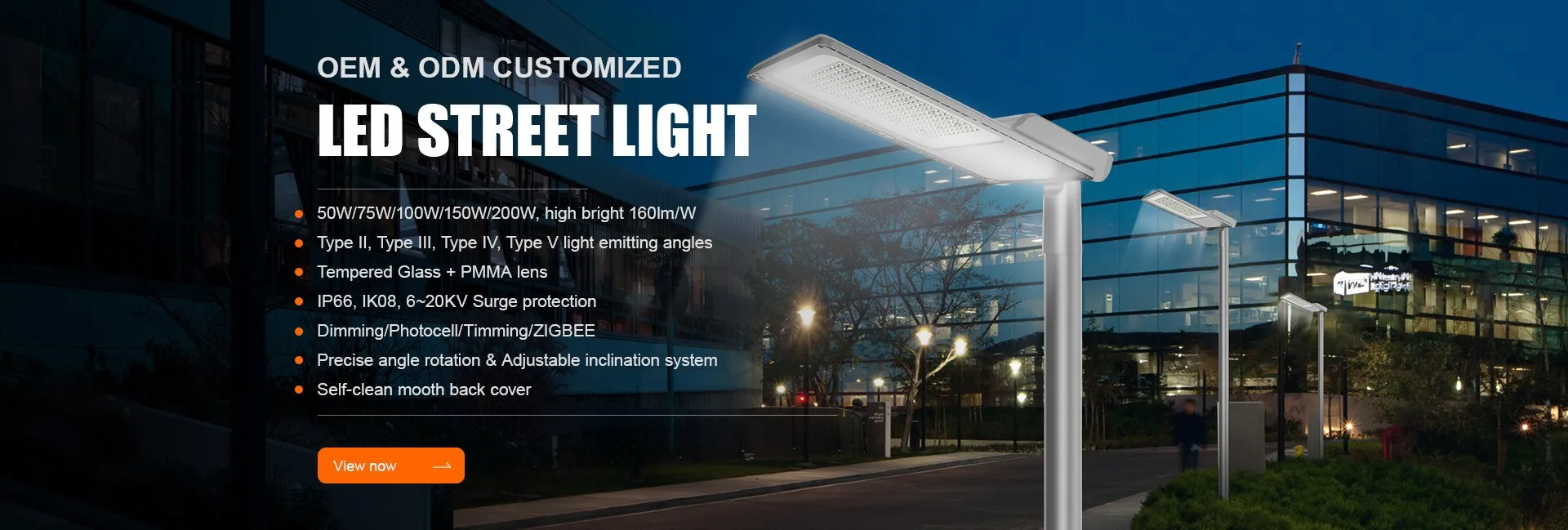 LED module street light